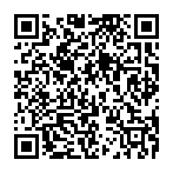 售桃園藝文區EQ重疊別墅3房車出售-QR CODE
